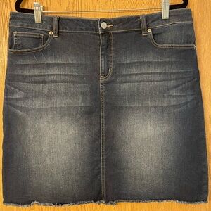 Westport Denim Women’s Skirt